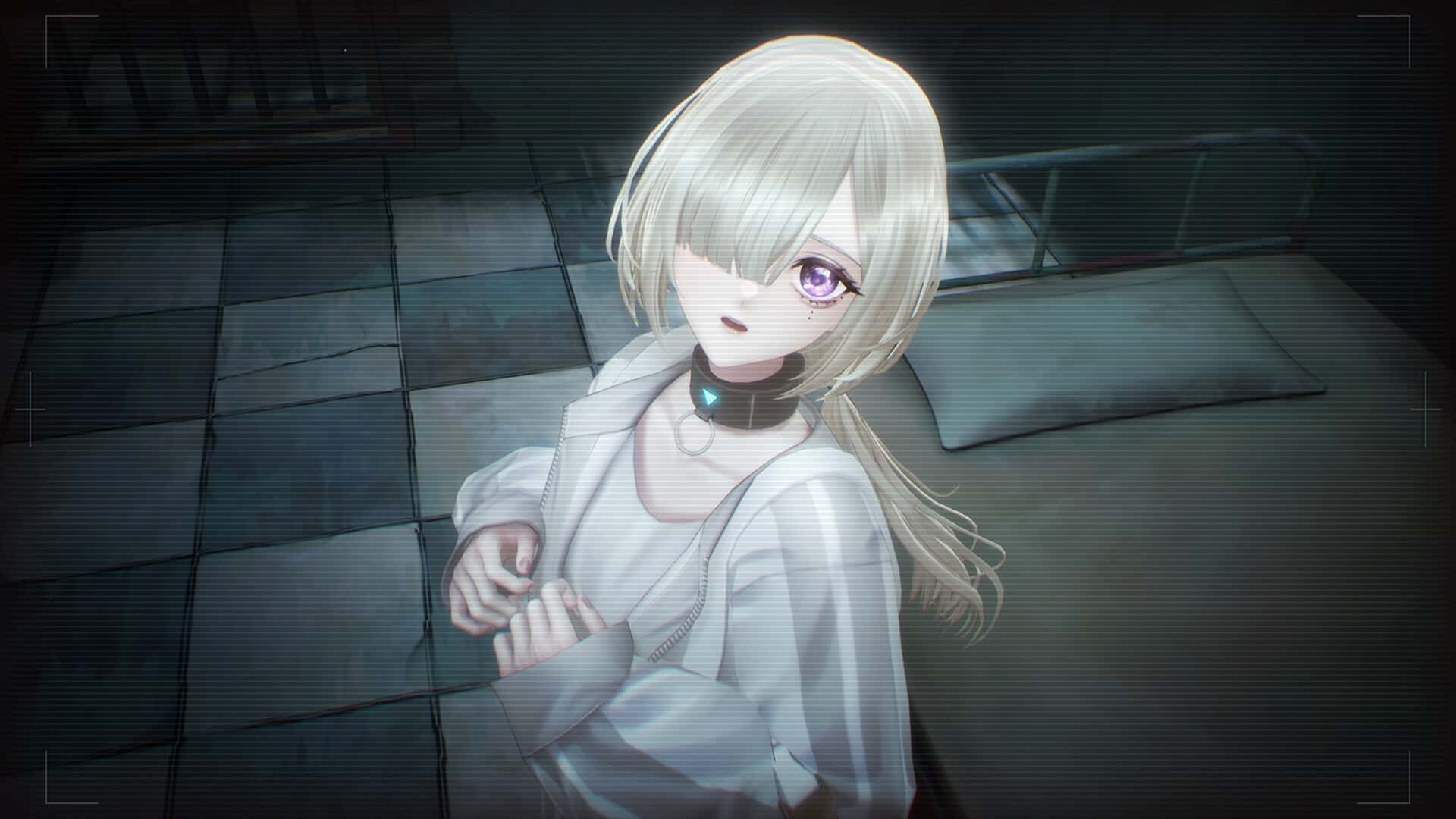 视觉数据6